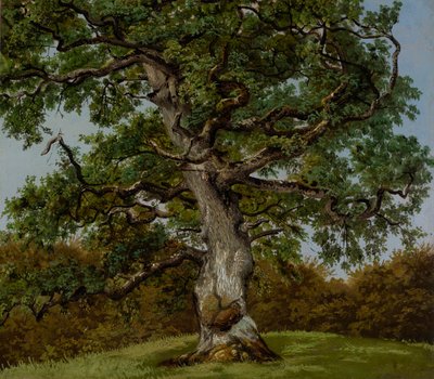 Studie av en gammal ek av Anton Eduard Kieldrup