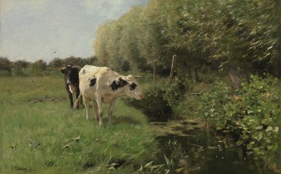 Kor på betesmarken av Anton Mauve