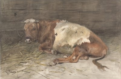 Liggande ung tjur av Anton Mauve