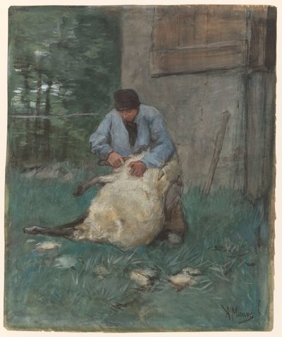 fårklippare av Anton Mauve