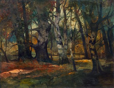 swedish av Anton Müller Wischin