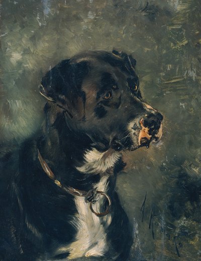 Huvud av en slaktarhund av Anton Romako
