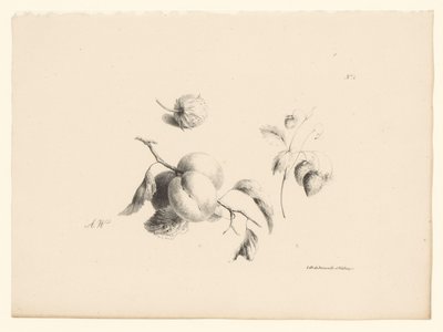Aprikoser och jordgubbar Blommor och frukter (serietitel) av Anton Weiss