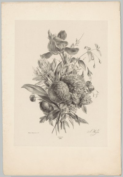 Nejlikor och liljor Flower and Fruit Studies (...) 10:e avsnittet (serietitel) av Anton Weiss