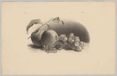 Äpplen, bär, björnbär och vindruvor Flower and Fruit Studies (...) 3:e avsnittet (serietitel) av Anton Weiss
