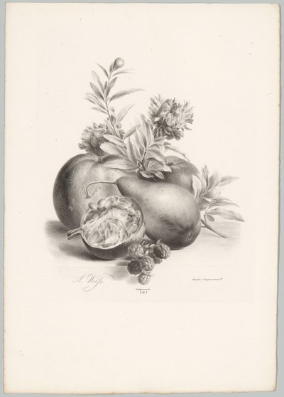 Blommor, äpplen, päron, granatäpple och björnbär Flower and Fruit Studies (...) 10:e avsnittet (serietitel) av Anton Weiss