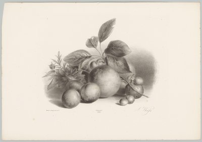 Blommor, nektariner och hasselnötter Flower and Fruit Studies (...) 10:e avsnittet (serietitel) av Anton Weiss