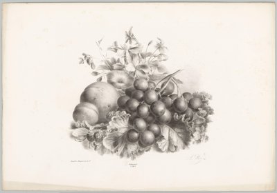 Blommor, persika, nektarin, vindruvor och björnbär Flower and Fruit Studies (...) 10:e avsnittet (serietitel) av Anton Weiss