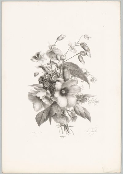 Olika blommor Flower and Fruit Studies (...) 10:e avsnittet (serietitel) av Anton Weiss
