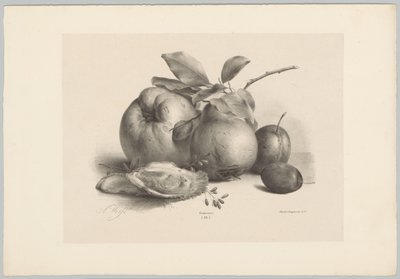 Frukt, plommon och ostron Flower and Fruit Studies (...) 10:e avsnittet (serietitel) av Anton Weiss