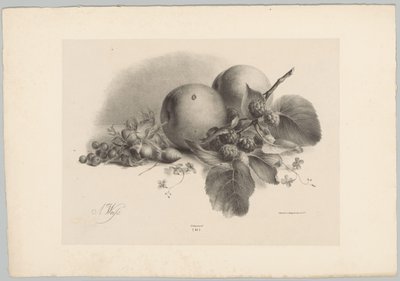 Persikor, bär, hasselnötter och björnbär Flower and Fruit Studies (...) 10:e avsnittet (serietitel) av Anton Weiss