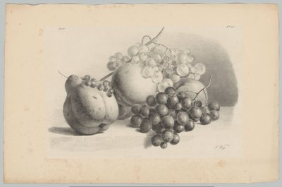 Pumpa, bär, vindruvor och persikor Flower and Fruit Studies (...) 3:e avsnittet (serietitel) av Anton Weiss