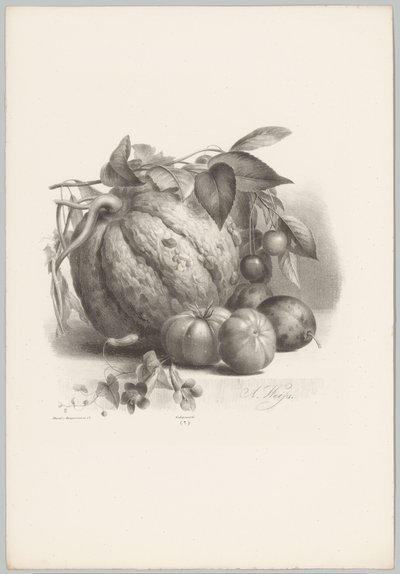 Pumpa, tomater och körsbär Flower and Fruit Studies (...) 10:e avsnittet (serietitel) av Anton Weiss