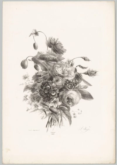 Rosor och andra blommor Flower and Fruit Studies (...) 10:e avsnittet (serietitel) av Anton Weiss