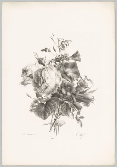 Rosor och kalkformade blommor Flower and Fruit Studies (...) 10:e avsnittet (serietitel) av Anton Weiss