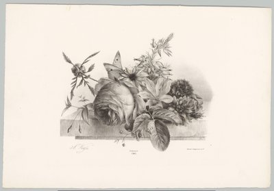 Rosor, liljor, klockformade blommor och fjäril Flower and Fruit Studies (...) 10:e avsnittet (serietitel) av Anton Weiss