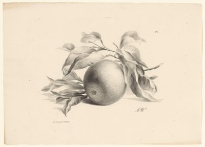 Orange Frukter (serietitel) av Anton Weiss