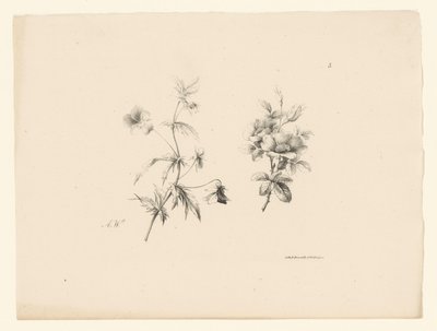 två blommor Blommor och frukter (serietitel) av Anton Weiss