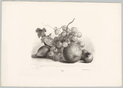 Fikon, vindruvor och apelsin Flower and Fruit Studies (...) 10:e avsnittet (serietitel) av Anton Weiss