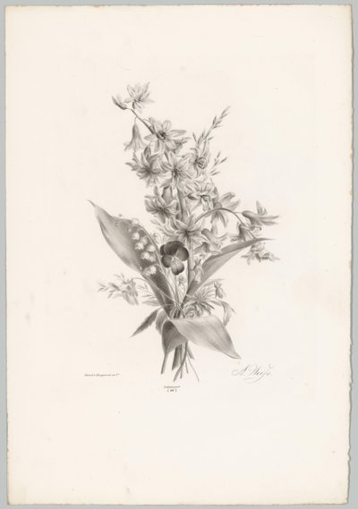 Violett och hyacint och klockformade blommor Flower and Fruit Studies (...) 10:e avsnittet (serietitel) av Anton Weiss