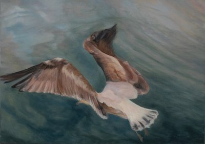 Måsen kommer in i land, 2012 (olja på duk) av Antonia Myatt