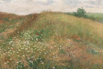 Sommaren 1897. av Antonin Slavicek