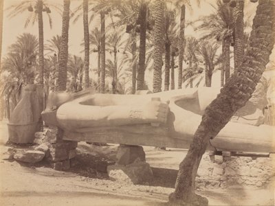 Staty av Ramses i Saqqara, ca. 1870-1880-talen. av Antonio Beato