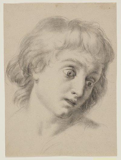 Huvudet av en pojke av Antonio Cavallucci