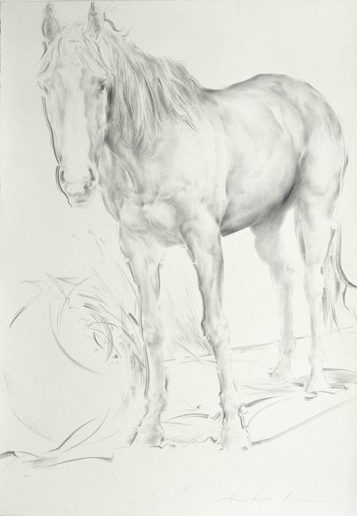 Horse at Coolmore, 1990 (kol på papper) av Antonio Ciccone