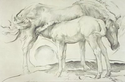 Horses at Coolmore, 1990 (kol på papper) av Antonio Ciccone