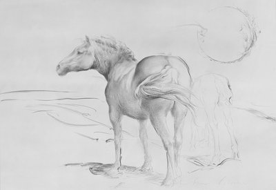 Horses at Coolmore, 1990 (kol på papper) av Antonio Ciccone