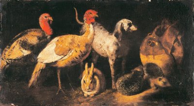 Kalkonhöns, hundar, kaniner och igelkottar av Antonio Maria Vassallo