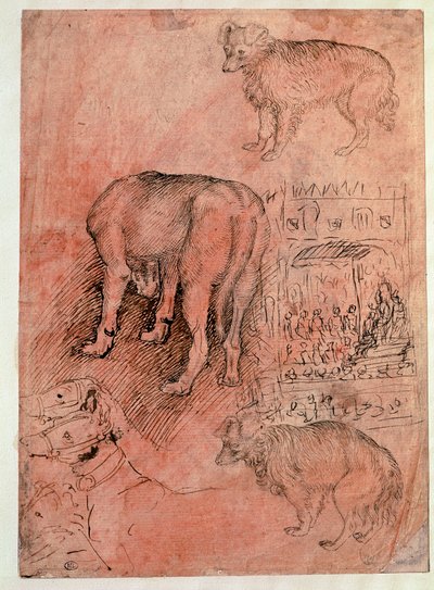 Hundstudier. Aulic avsnitt. Teckning av Antonio Pisano dit il Pisanello (1380-1455) av Antonio Pisanello