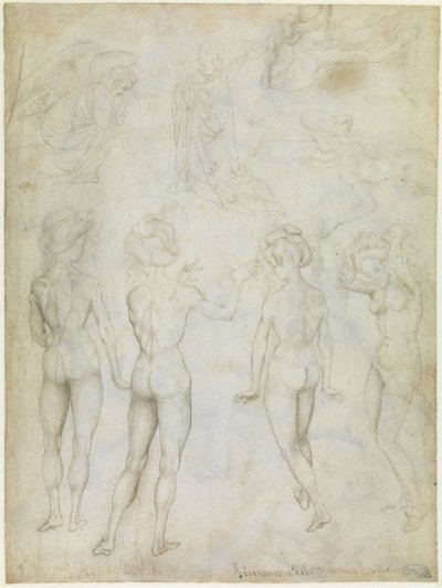 Fyra studier av en kvinnlig nakenbild, en bebådelse och två studier av en simmande kvinna, ca 1425 (metallspets, penna  blyerts i brunt på pergament) av Antonio Pisanello