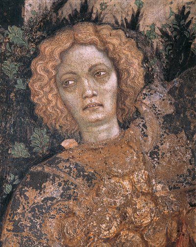 St George och prinsessan av Antonio Pisanello