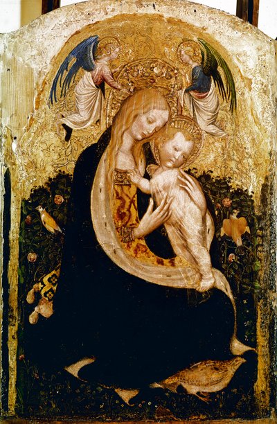Madonnan har vaktel Detrempe på trä av Pisanello (Antonio Pisano) (ca 1380-1455). 1420 ca. Dim.50x33 cm Verone, Castevecchio Museum - Madonna med en vaktel, av Antonio Pisano a.k.a Pisanello (1380-c.1455)., Tempera på trä, 50x33 cm av Antonio Pisanello