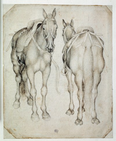 Två selar, sedda tre fjärdedelar, den ena framifrån och den andra bakifrån. Teckning av Pisano Antonio di Puccio dit Pisanello (1395-1455) av Antonio Pisanello