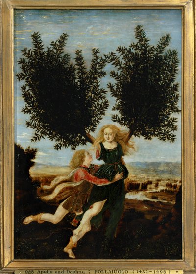 Apollo och Daphne ... (målning på duk) av Antonio Pollaiuolo