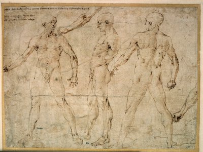 Tre nakna män. Teckning av Antonio Pollaiuolo (Pollaiolo) (1432-1498) av Antonio Pollaiuolo