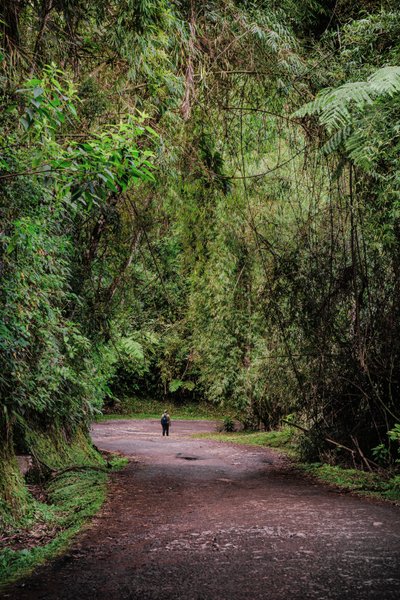 Mantiqueira XLIII, 2015 (digital fotografi) av Antonio Schubert