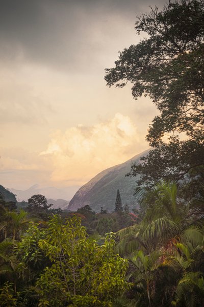 Serra dos Órgãos VIII, Petrópolis, Rio de Janeiro, Brasilien, 2025 (fotografi) av Antonio Schubert