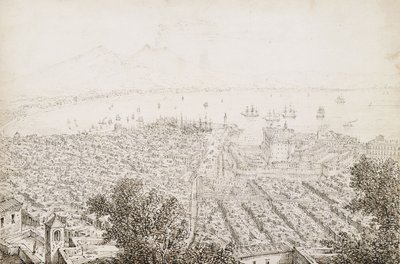 En panoramautsikt över Neapel av Antonio Senape