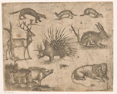 Studieblad med olika djur av Antonio Tempesta (attributed to)