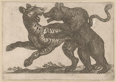 En björn som slåss mot en tiger Kampdjur (serietitel) av Antonio Tempesta