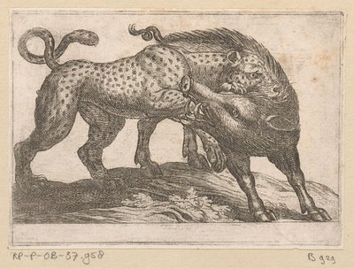 En leopard som slåss mot ett vildsvin Kampdjur (serietitel) av Antonio Tempesta