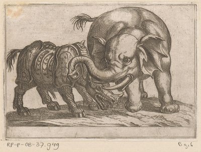 En noshörning slåss mot en elefant Kampdjur (serietitel) av Antonio Tempesta