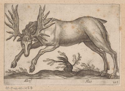 Eland Älg/ Älg (titel på objekt) Dieren en fablewezens (serietitel) Ny samling av världens mest nyfikna djur (serietitel) av Antonio Tempesta