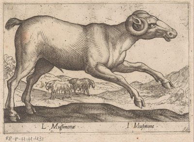 getaktig L Mussimonae/ I Musimone (titel på objekt) Dieren en fablewezens (serietitel) Ny samling av världens mest nyfikna djur (serietitel) av Antonio Tempesta