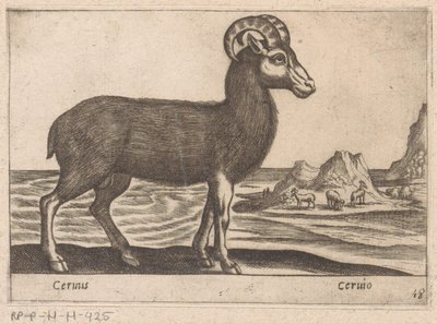 Ädelsten Cerinis / Ceruio (titel på objekt) Dieren en fabelwezens (serietitel) Nova samling av de mest nyfikna djuren i världen (serietitel) av Antonio Tempesta