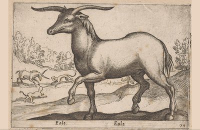 Häst med horn Eale/ Eale (titel på objekt) Djur och mytiska varelser (serietitel) Nova raccolta de li animali piu curiosi del mondo (serietitel) av Antonio Tempesta
